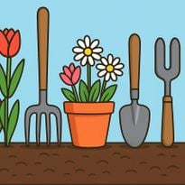 Flowers and gardening tools